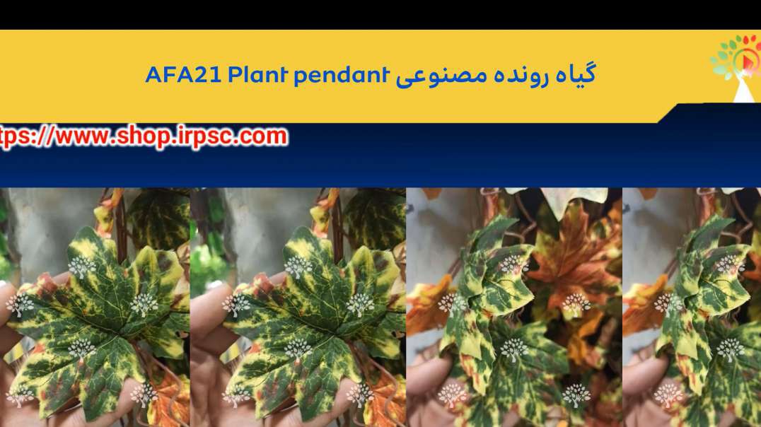 گیاه رونده مصنوعی AFA21 Plant pendant