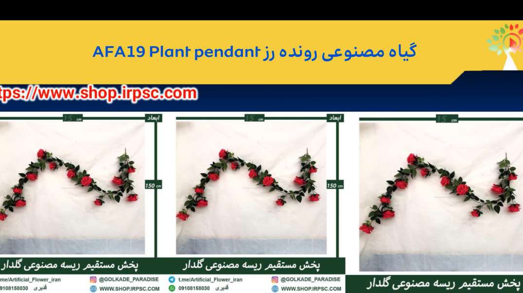 گیاه مصنوعی رونده رز AFA19 Plant pendant