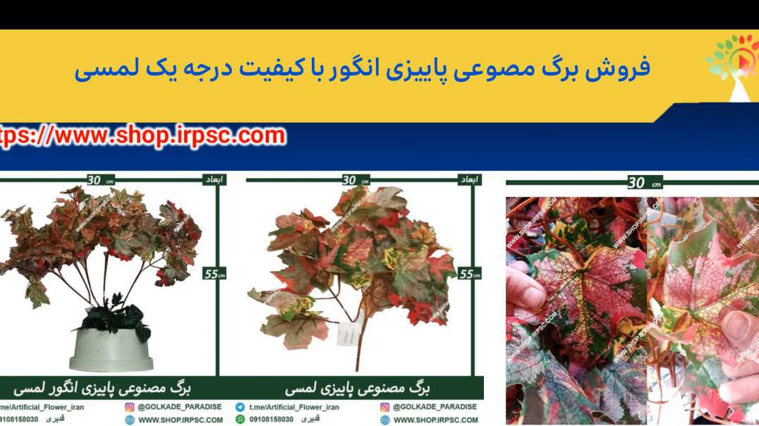 فروش برگ مصوعی پاییزی انگور با کیفیت درجه یک لمسی