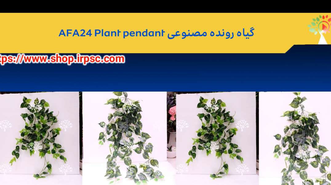 گیاه رونده مصنوعی AFA24 Plant pendant.mp4