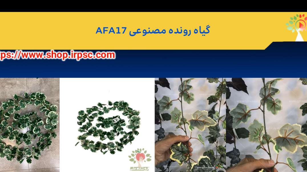 گیاه رونده مصنوعی AFA17