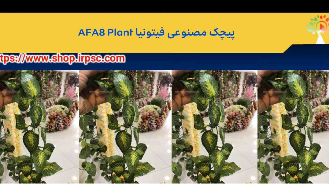 پیچک مصنوعی فیتونیا AFA8 Plant