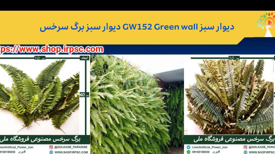 ⁣دیوار سبز GW152 Green wall دیوار سبز برگ سرخس.mp4