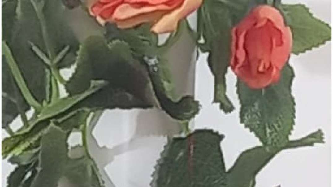 گل آویز مصنوعی رز | گیاه رونده رز | ریسه گلدار