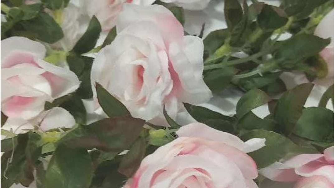 ریسه گل رز مصنوعی سفید | پیچک رونده گل رز سفید