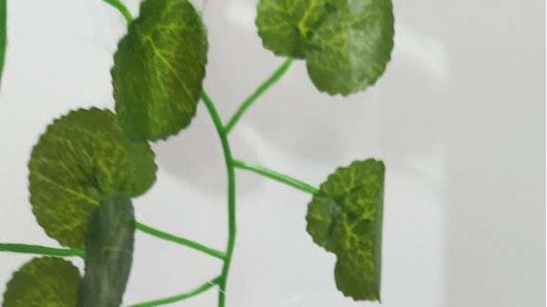 گیاه رونده پاپیتال مصنوعی | گل آویز پاپیتال مینیاتور