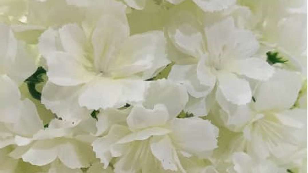 گل آویز مصنوعی سفید | ریسه مصنوعی گلدار