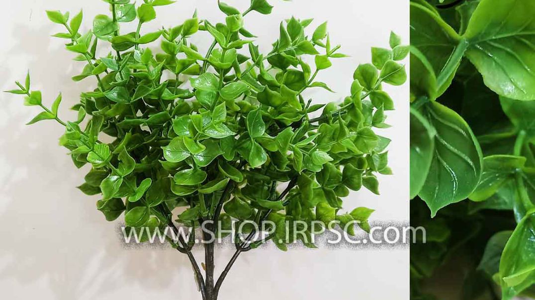 ⁣گیاه مصنوعی شمشاد سبز مشخصات و قیمت