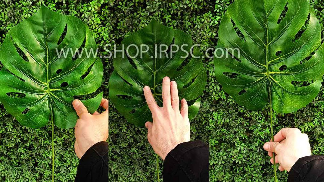 ⁣برگ گرینوال مصنوعی مدل انجیری لمسی پخش از فروشگاه ملی