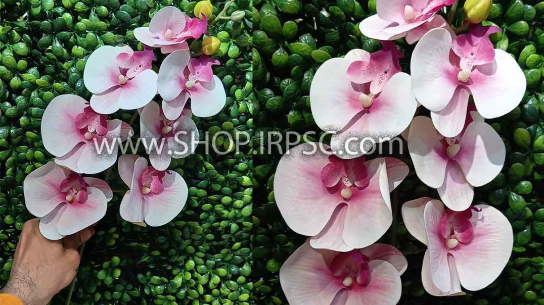 ⁣شاخه گل مصنوعی ارکیده 7 گل صورتی رنگ پخش از فروشگاه ملی