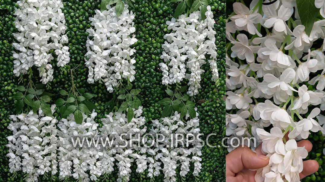 ⁣آویز گل مصنوعی اقاقیا دارای 5 شاخه ارتفاع 60 سانتیمتر رنگ بندی سفید پخش از فروشگاه ملی