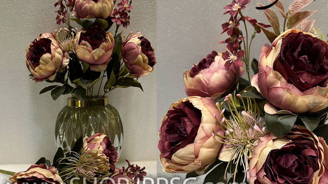 ⁣بوته گل پیونی 5 گل درشت 11 شاخه پخش از فروشگاه ملی کدBAS01