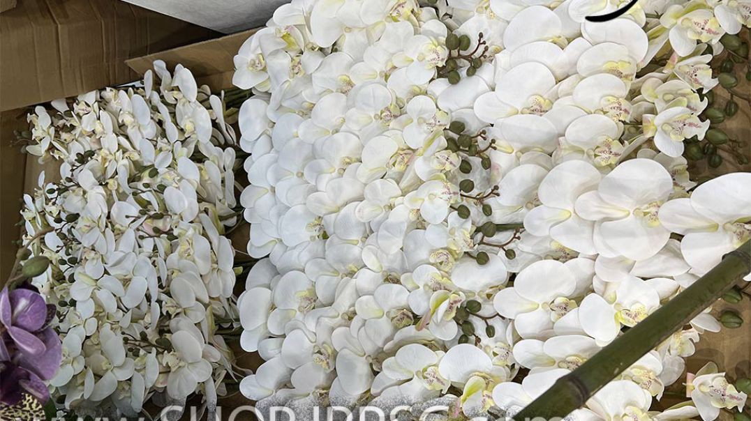 ⁣فروشگاه ملی پخش کننده انواع گل مصنوعی و تجهیزات دیوار سبز مصنوعی به صورت کلی و جزئی