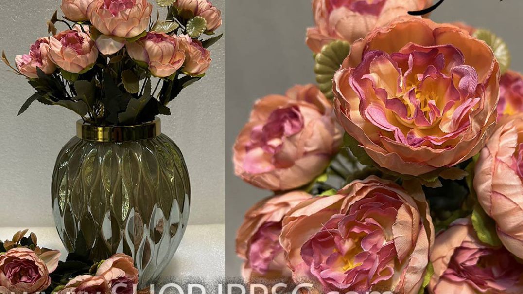 ⁣بوته گل تزیینی پیونی مدل 10 گل کیفیت درجه یک پخش از فروشگاه ملی