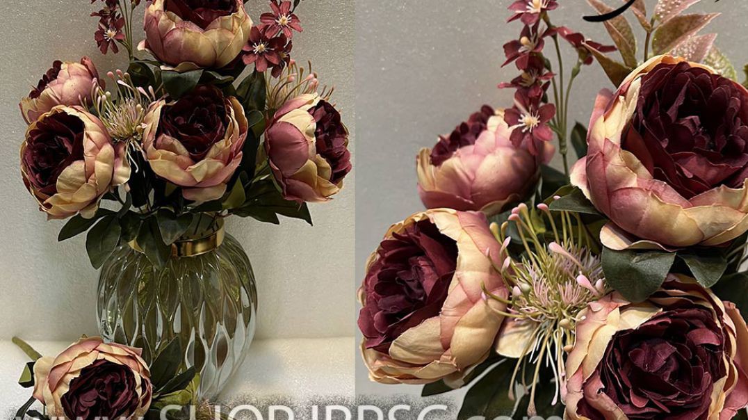 ⁣بوته گل پیونی درشت رنگ بندی زیبا پخش از فروشگاه ملی کیفیت درجه یک