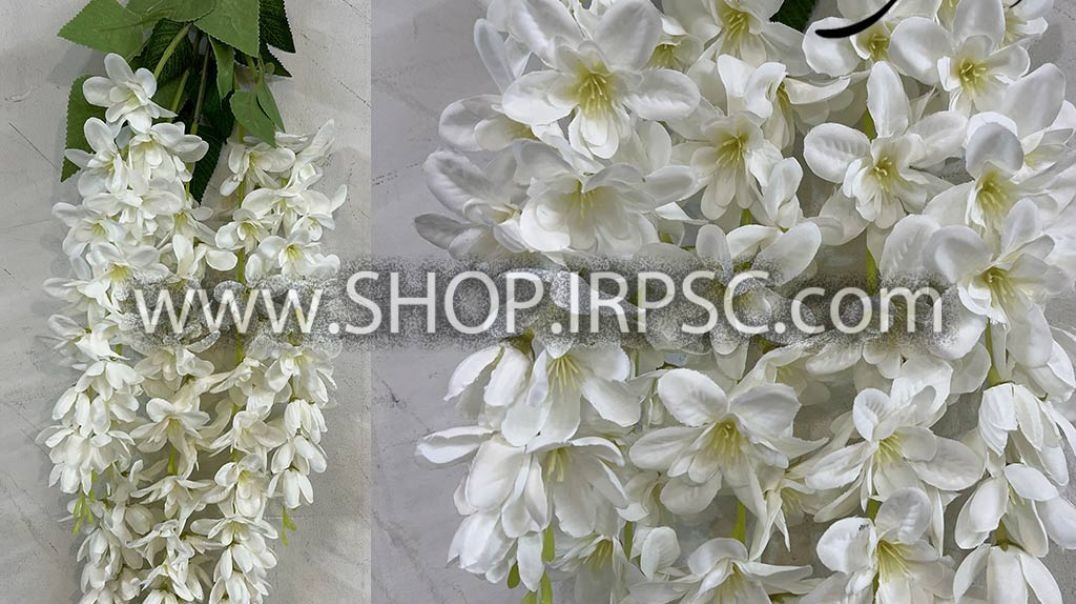 ⁣گل مصنوعی آویزی مدل اقاقیا دارای 5 شاخه رنگ سفید پخش از فروشگاه ملی در بسته های 6 عددی