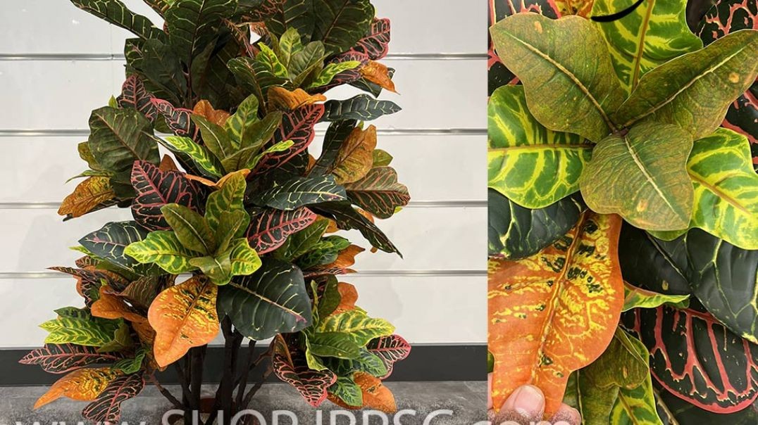 ⁣درختچه مصنوعی کروتن کیفیت درجه یک لمسی رنگ بندی ابلق پخش از فروشگاه ملی