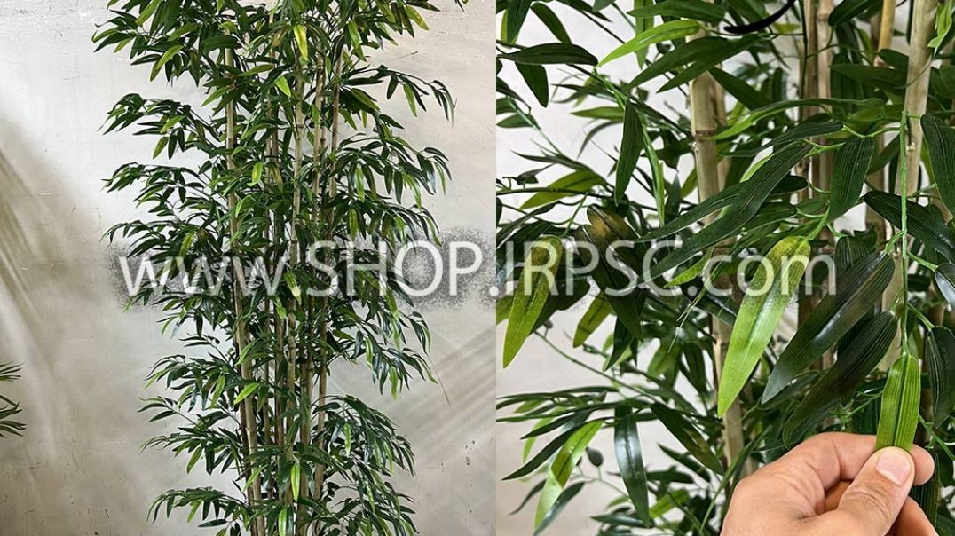 ⁣درختچه مصنوعی بامبو خیزران پخش از فروشگاه ملی