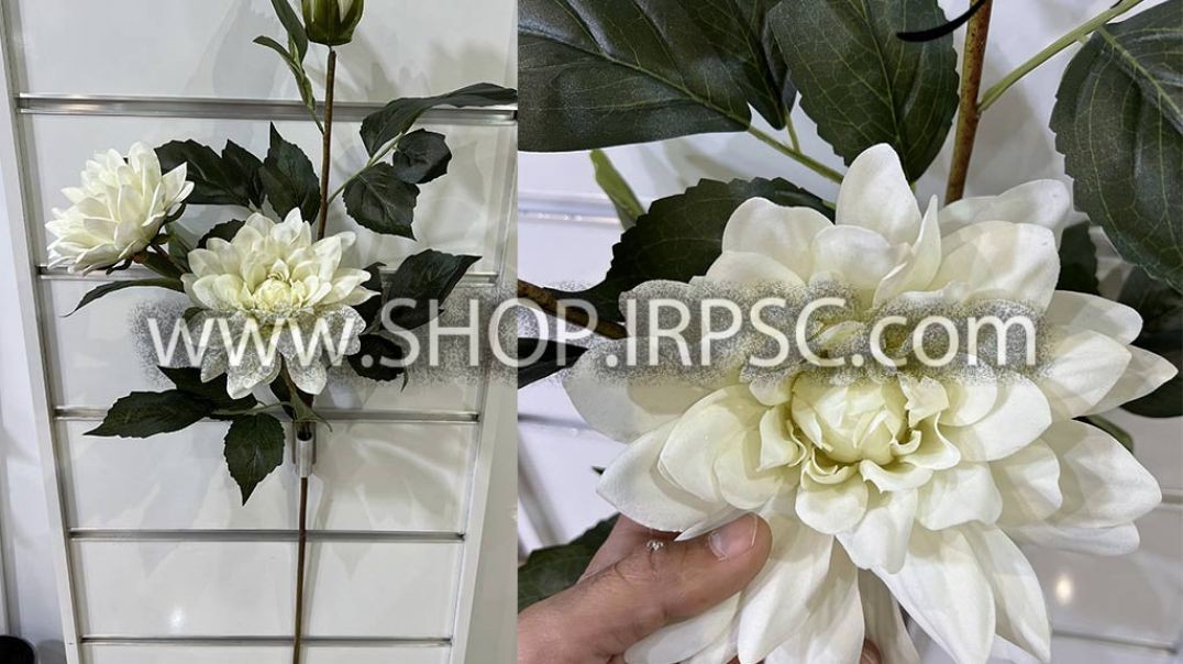 شاخه گل مصنوعی کوکب رنگ بندی سفید پخش از فروشگاه ملی