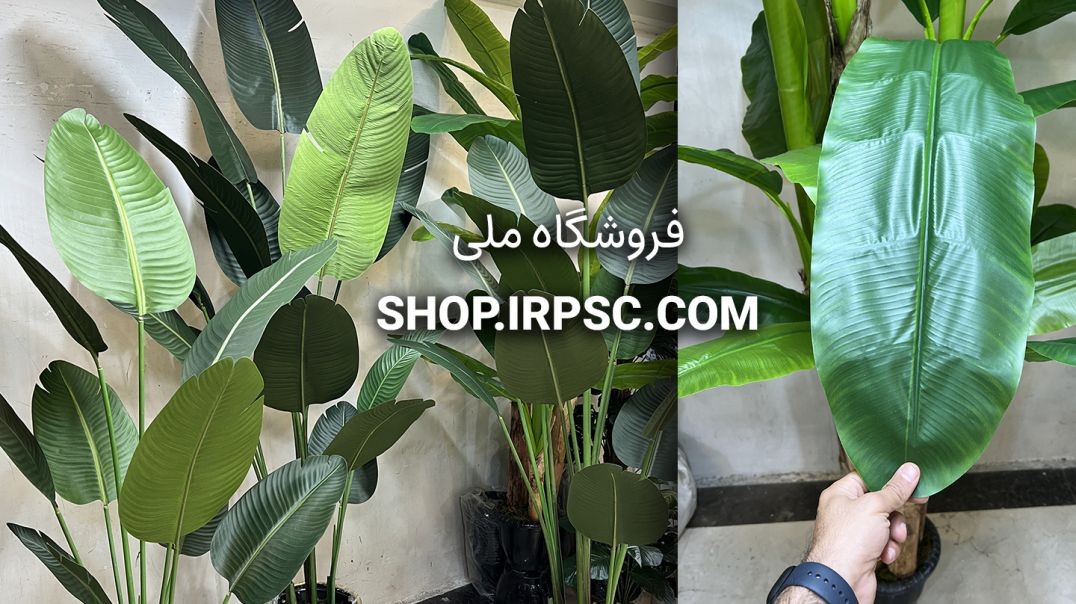 ⁣درختچه مصنوعی پرنده بهشتی سایز 220 سانت |فروشگاه ملی