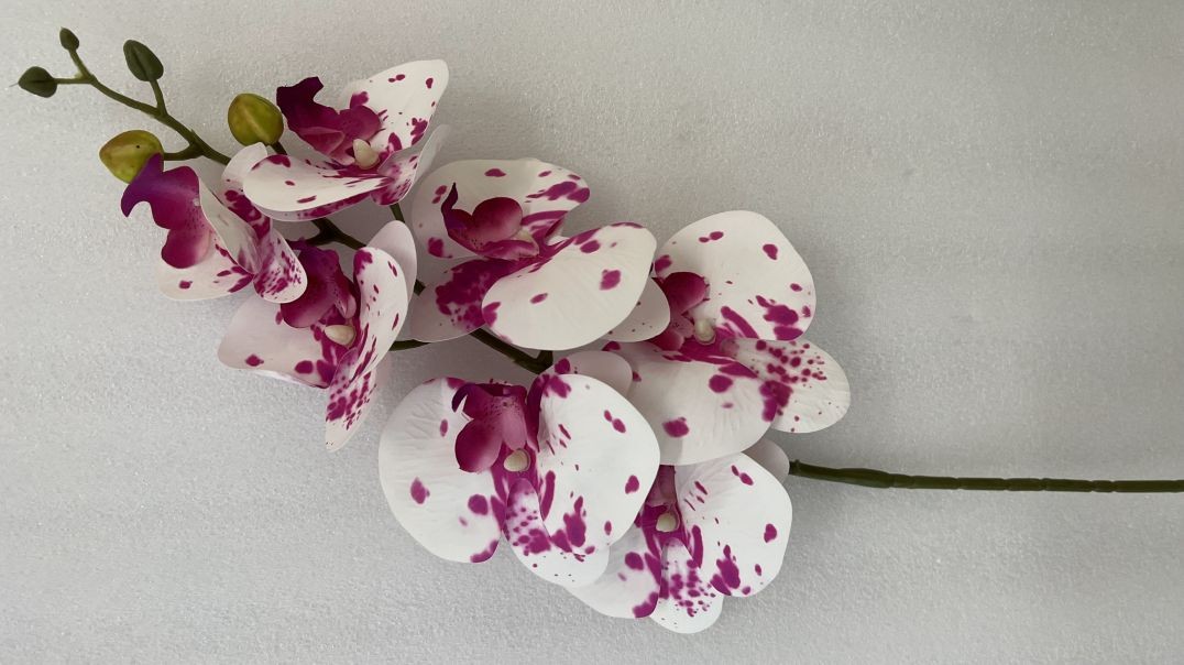 شاخه گل مصنوعی ارکیده مدل 7 گل لمسی |فروشگاه ملی