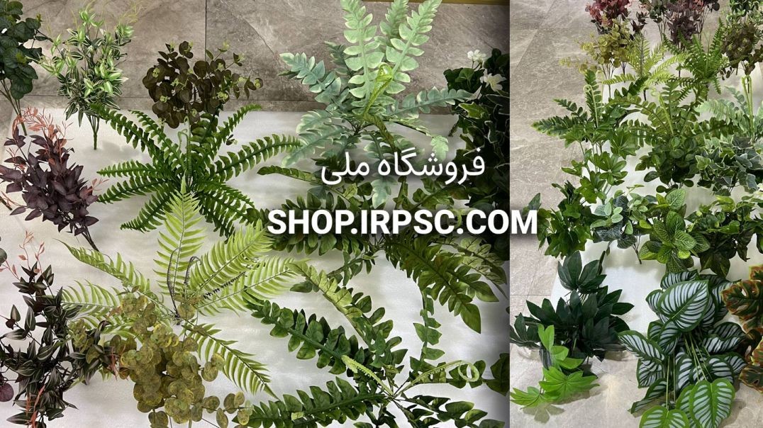انواع بوته باکس گل و دیوار سبز | فروشگاه ملی