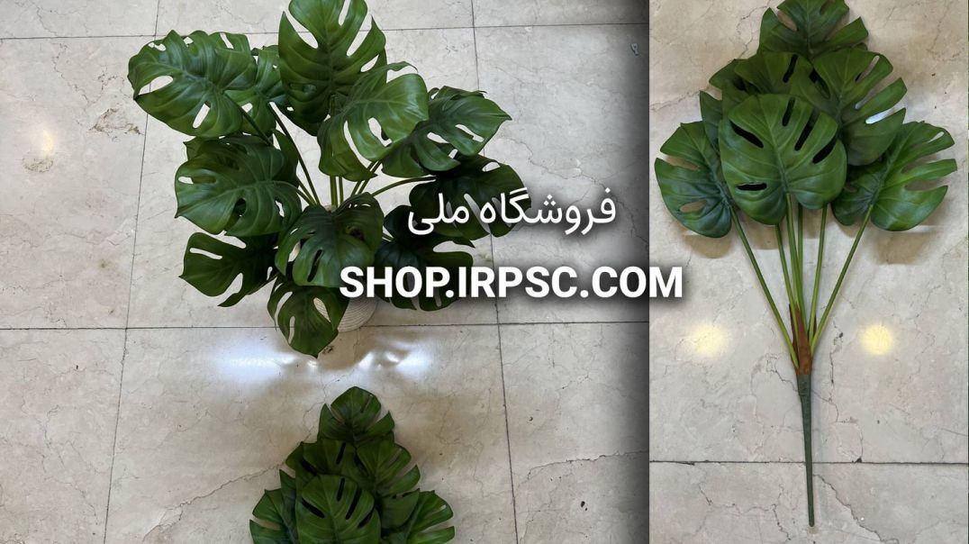 ⁣بوته مصنوعی برگ انجیری چرمی | فروشگاه ملی