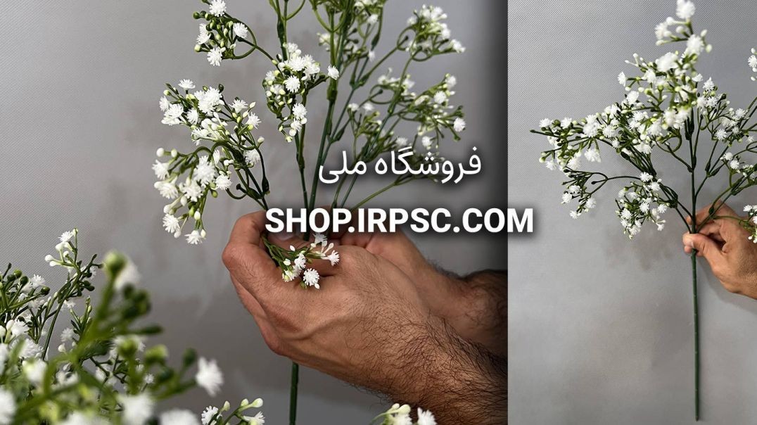 ⁣شاخه شکوفه مصنوعی عروس | فروشگاه ملی