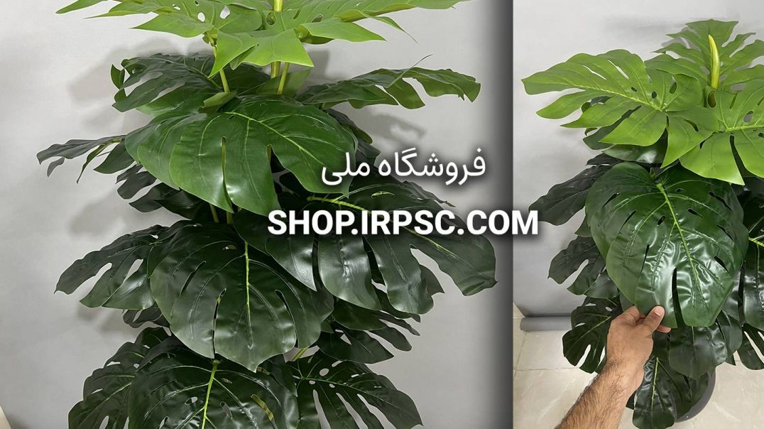 ⁣درختچه مصنوعی برگ انجیری 21 برگ | فروشگاه ملی