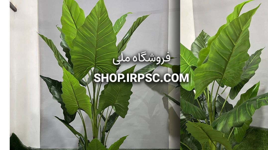 ⁣درختچه مصنوعی آلوکازیا 20 برگ | فروشگاه ملی