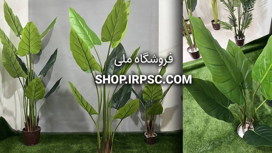 ⁣درختچه مصنوعی آلوکازیا 10 برگ | فروشگاه ملی