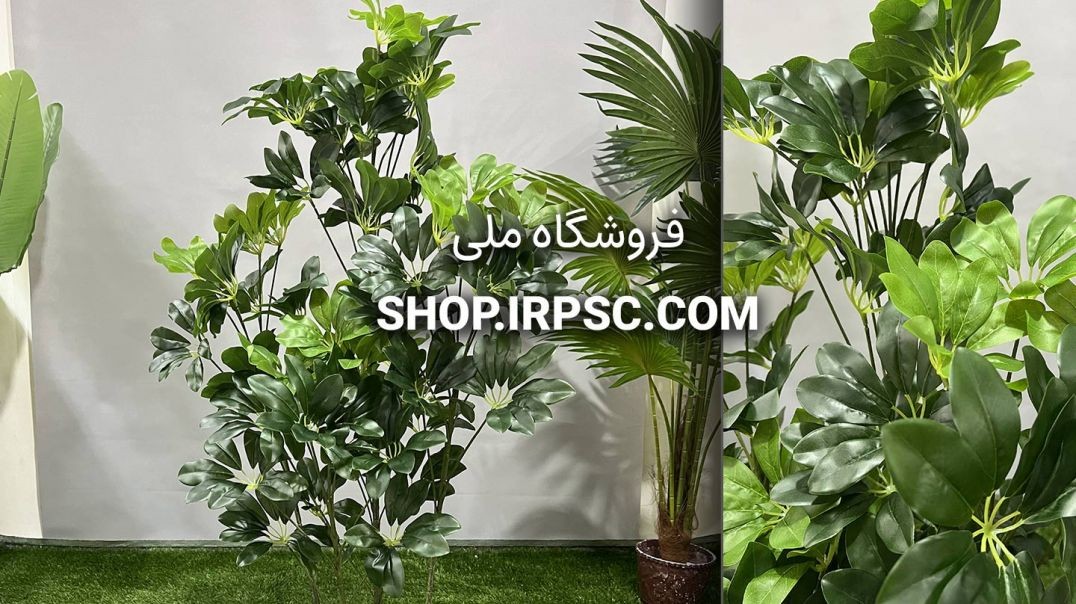 ⁣درختچه مصنوعی شفلرا 5 تکه | فروشگاه ملی