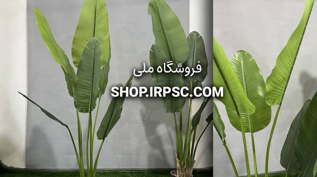 درختچه مصنوعی پرنده بهشتی 8 برگ | فروشگاه ملی