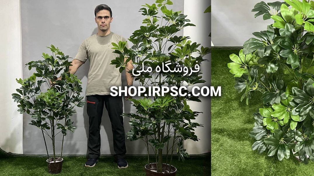 ⁣درختچه‌های مصنوعی شفلرا در 2 سایزبندی | فروشگاه ملی