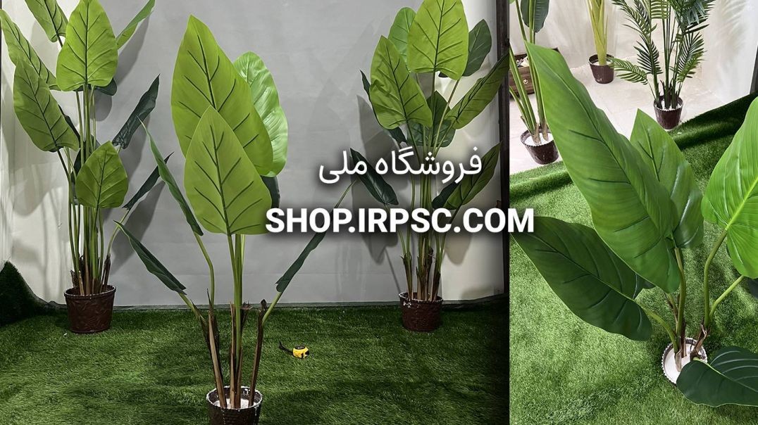 ⁣درختچه مصنوعی آلوکازیا 7 برگ | فروشگاه ملی