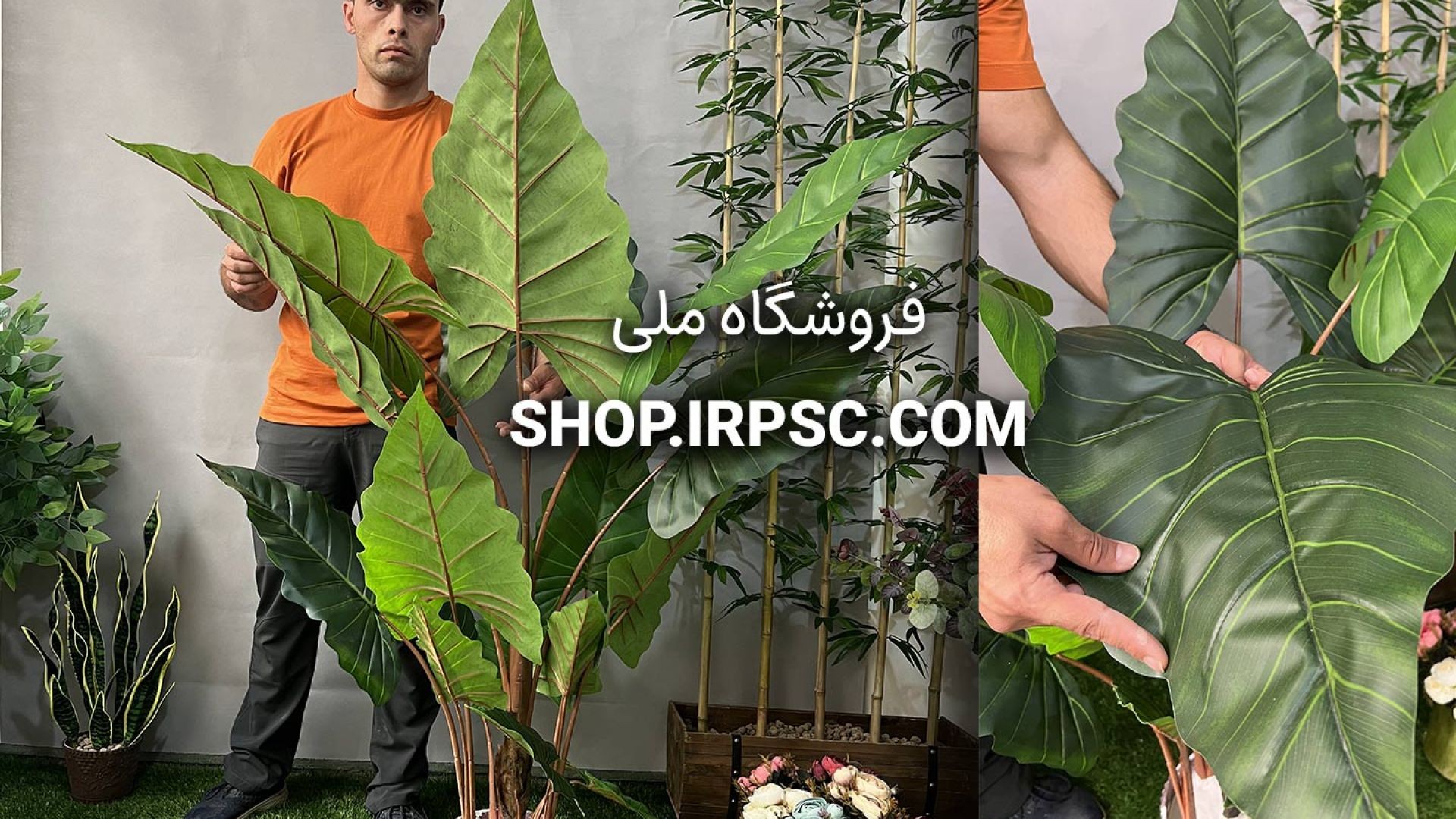درختچه مصنوعی آلوکازیا 5 تکه | فروشگاه ملی