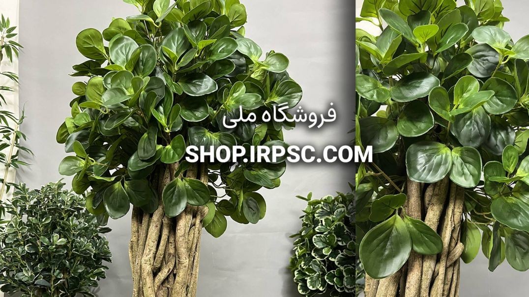 درختچه مصنوعی توپی قاشقی | فروشگاه ملی