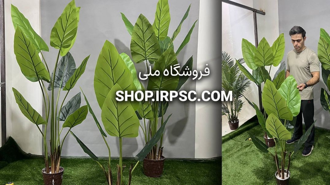 ⁣درختچه‌های مصنوعی آلوکازیا در 3 سایزبندی | فروشگاه ملی