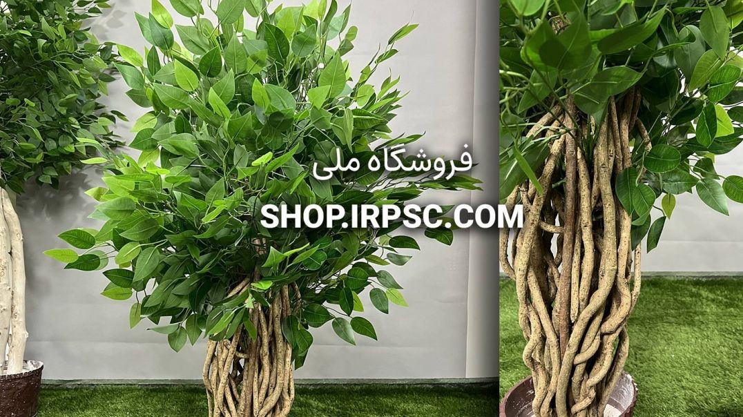 ⁣درختچه مصنوعی بنجامین | فروشگاه ملی
