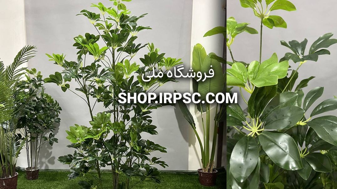 درختچه مصنوعی شفلرا 160 سانتی متر | فروشگاه ملی