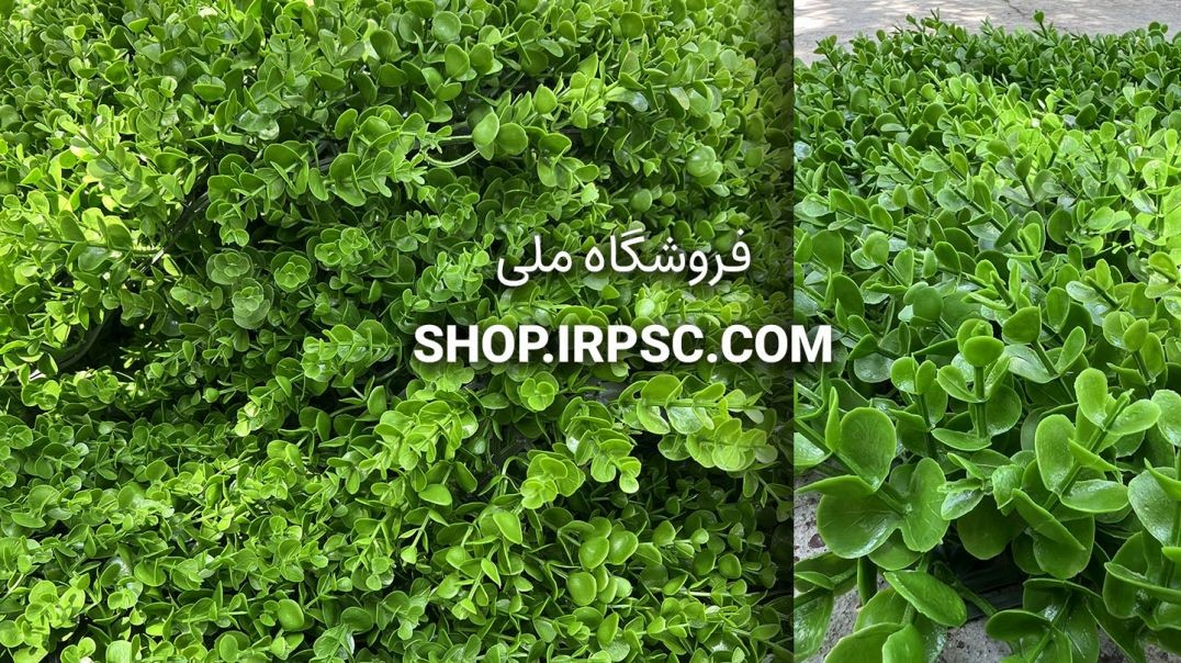پنل دیوار سبز شمشاد | فروشگاه ملی