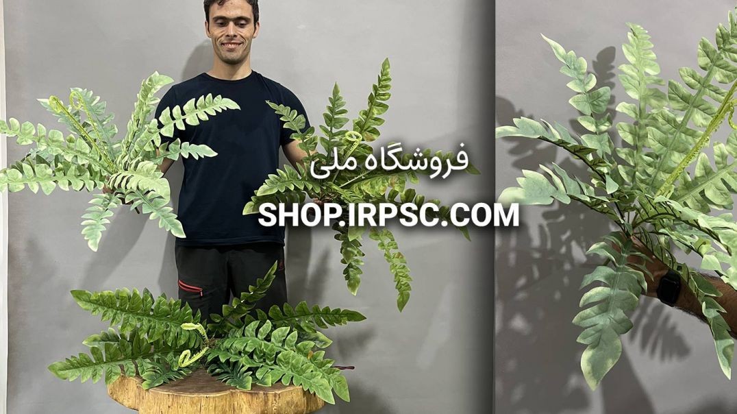 بوته مصنوعی سرخس در 3 رنگبندی | فروشگاه ملی