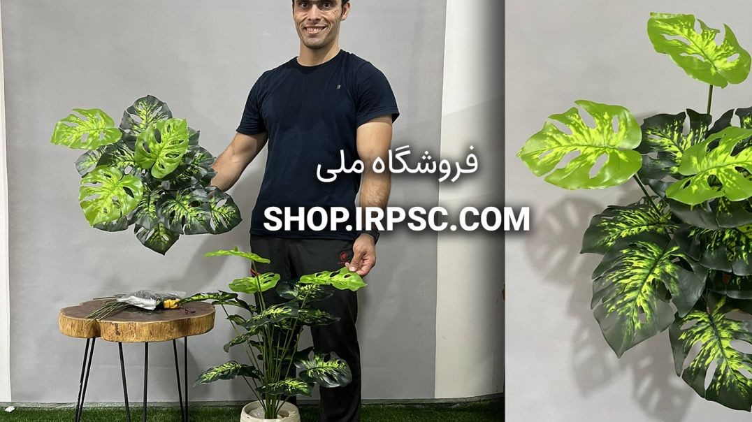 ⁣بوته مصنوعی برگ انجیری سبز ابلق | فروشگاه ملی