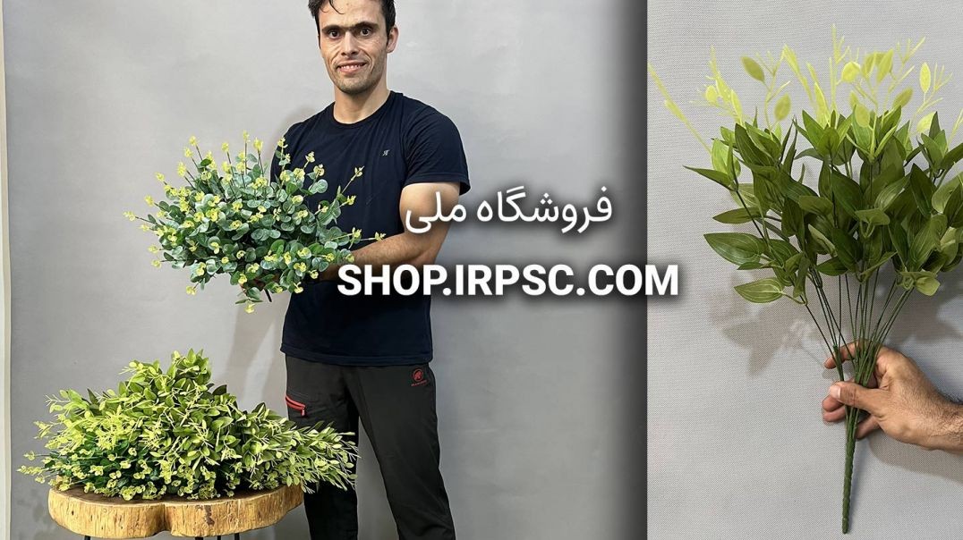 بوته مصنوعی اکالیپتوس و چای | فروشگاه ملی