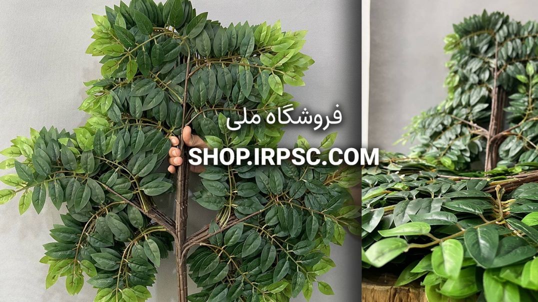 ⁣برگ مصنوعی بنجامین(اقاقیا) درجه یک لمسی| فروشگاه ملی