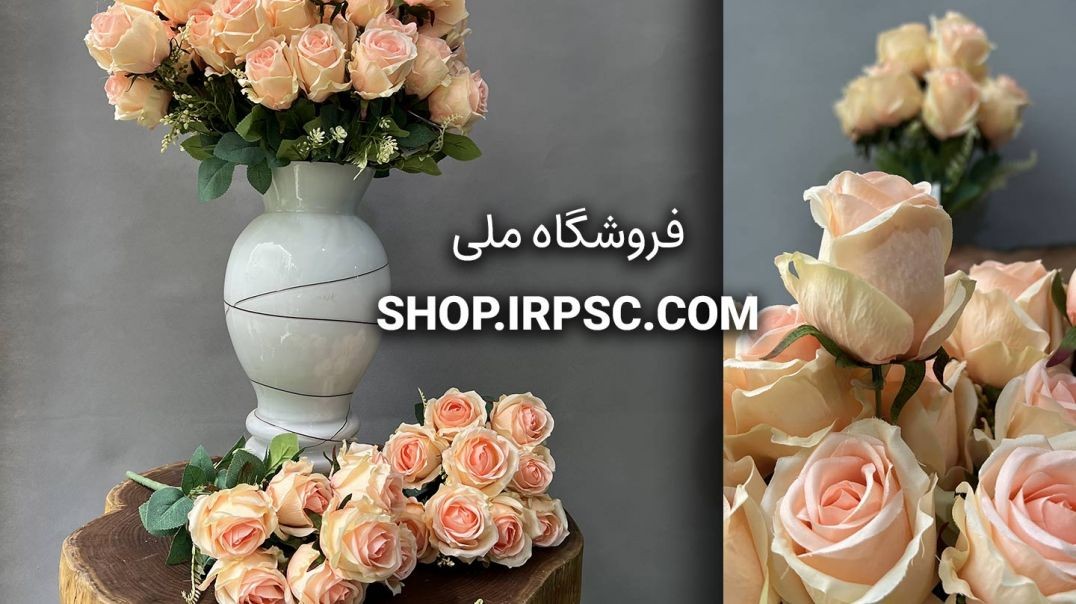 ⁣بوته گل رز 10 گل گلبهی | فروشگاه ملی