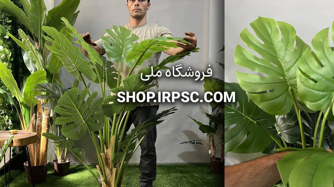 ⁣درختچه مصنوعی برگ انجیری 15 برگ | فروشگاه ملی