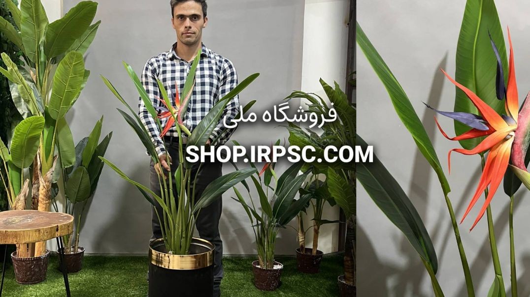 ⁣درختچه مصنوعی استرزیا 12 برگ | فروشگاه ملی