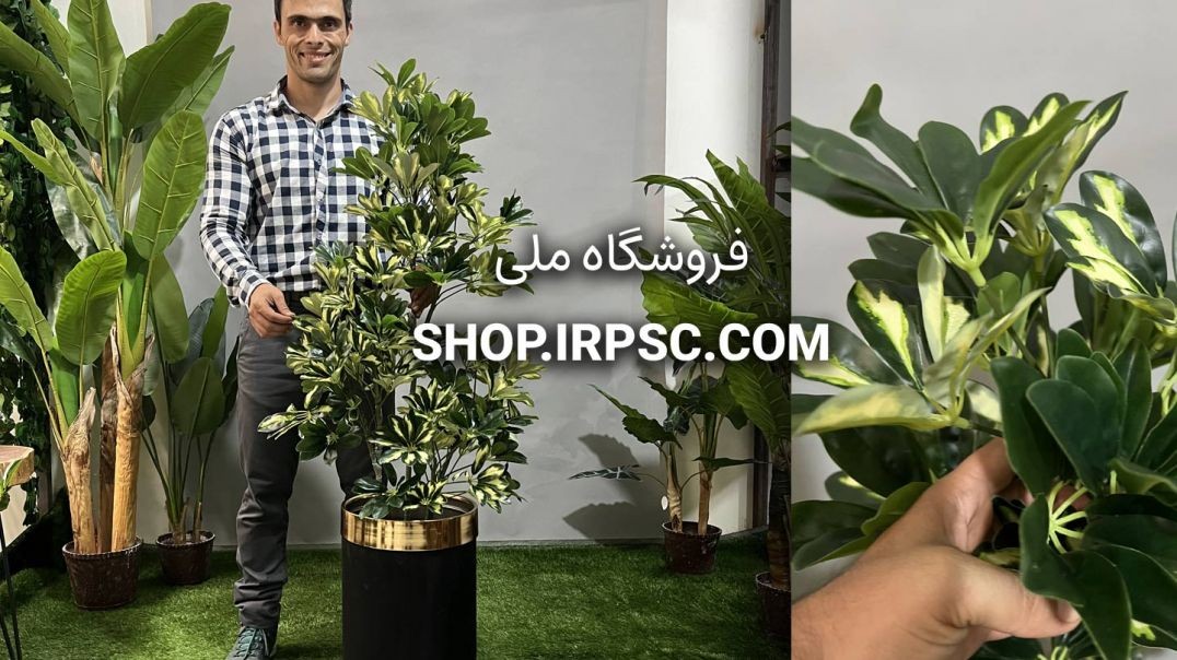 ⁣درختچه مصنوعی شفلرا ابلق 120 سانتی | فروشگاه ملی