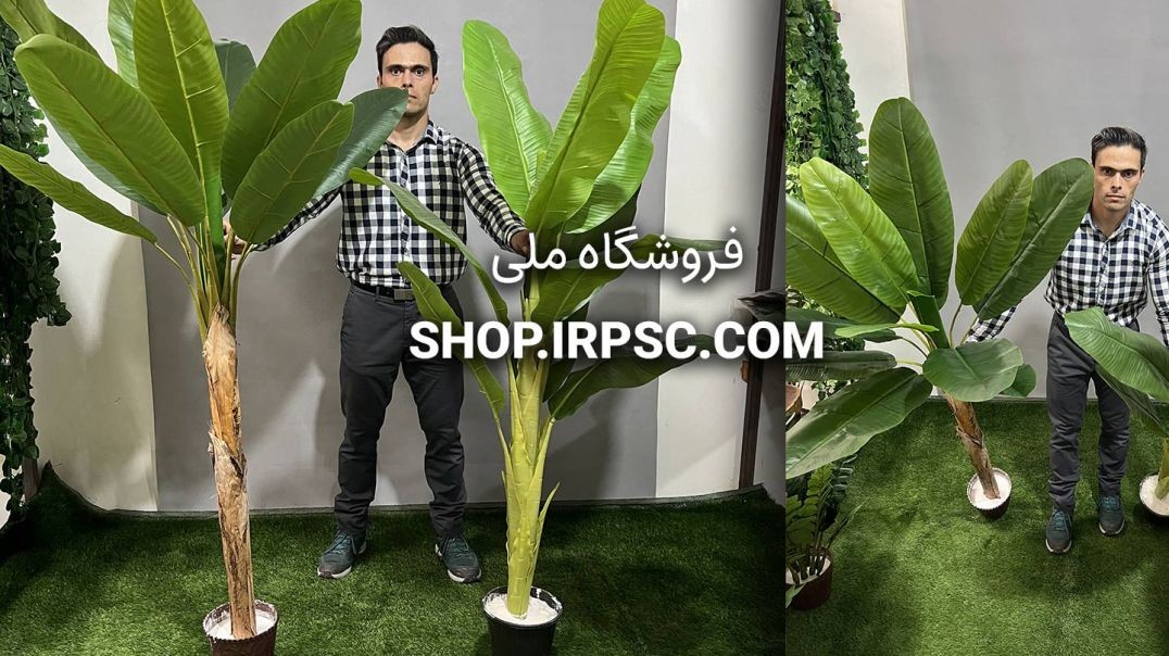 ⁣درختچه مصنوعی یک تکه در دو مدل | فروشگاه ملی